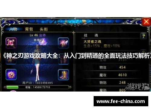 《神之刃游戏攻略大全：从入门到精通的全面玩法技巧解析》